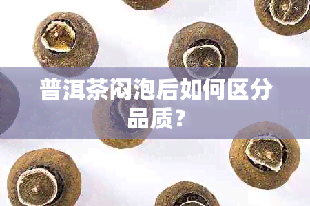 普洱茶闷泡后如何区分品质？