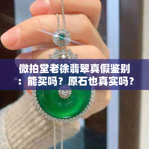 微拍堂老徐翡翠真假鉴别：能买吗？原石也真实吗？