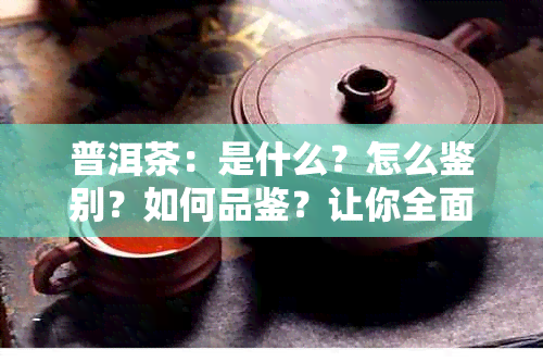 普洱茶：是什么？怎么鉴别？如何品鉴？让你全面了解普洱茶！