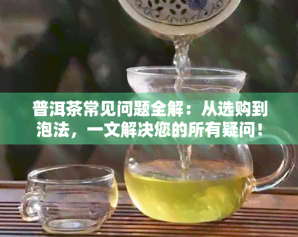 普洱茶常见问题全解：从选购到泡法，一文解决您的所有疑问！