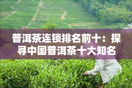 普洱茶连锁排名前十：探寻中国普洱茶十大知名店及商家排名