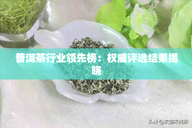 普洱茶行业领先榜：权威评选结果揭晓