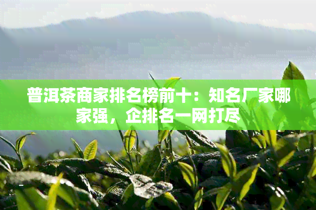 普洱茶商家排名榜前十：知名厂家哪家强，企排名一网打尽