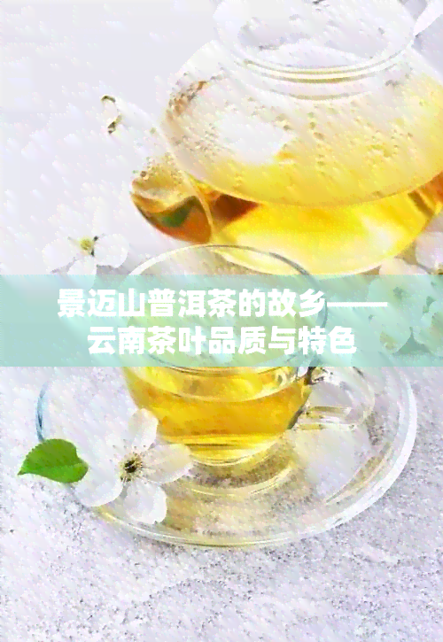 景迈山普洱茶的故乡——云南茶叶品质与特色