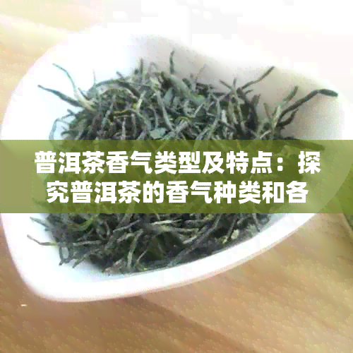 普洱茶香气类型及特点：探究普洱茶的香气种类和各自的特点。