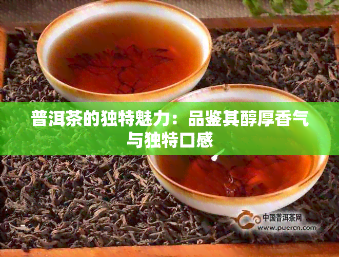 普洱茶的独特魅力：品鉴其醇厚香气与独特口感