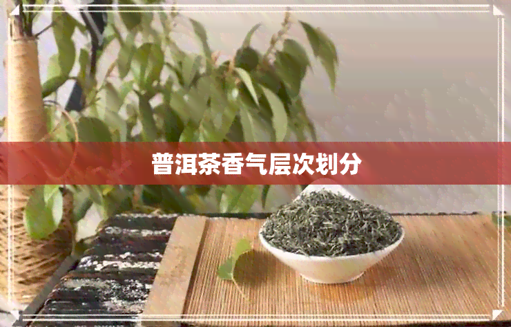 普洱茶香气层次划分