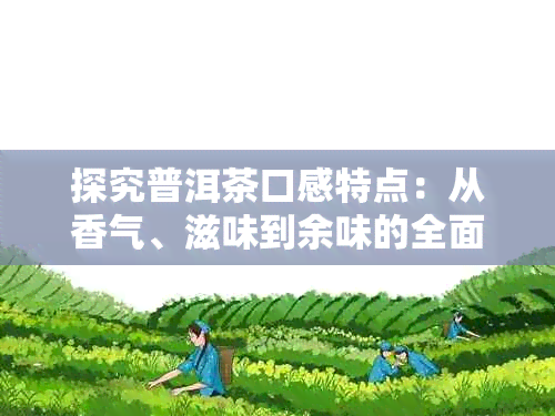 探究普洱茶口感特点：从香气、滋味到余味的全面解析