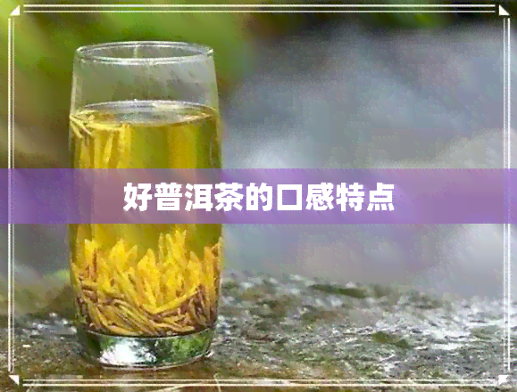 好普洱茶的口感特点