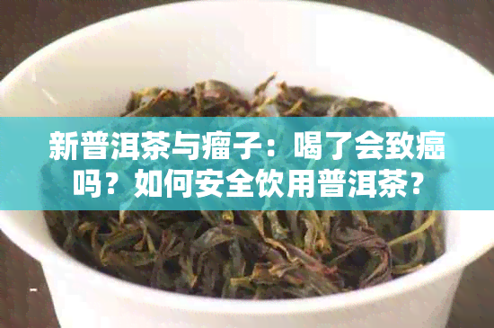 新普洱茶与瘤子：喝了会致癌吗？如何安全饮用普洱茶？