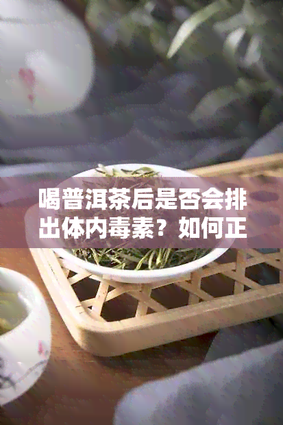 喝普洱茶后是否会排出体内素？如何正确饮用普洱茶以促进排效果？