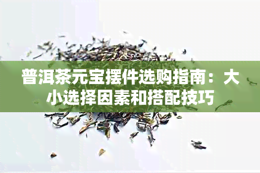 普洱茶元宝摆件选购指南：大小选择因素和搭配技巧