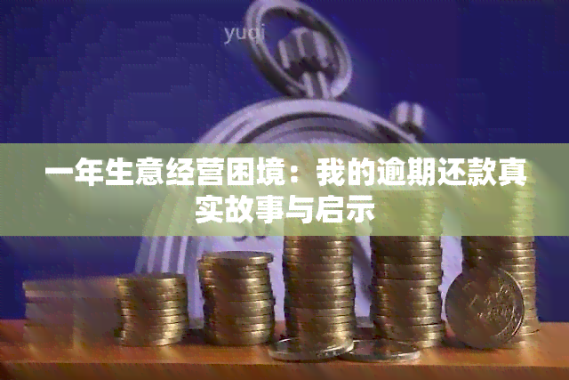 一年生意经营困境：我的逾期还款真实故事与启示