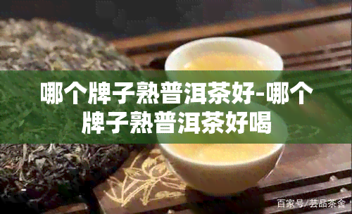 哪个牌子熟普洱茶好-哪个牌子熟普洱茶好喝