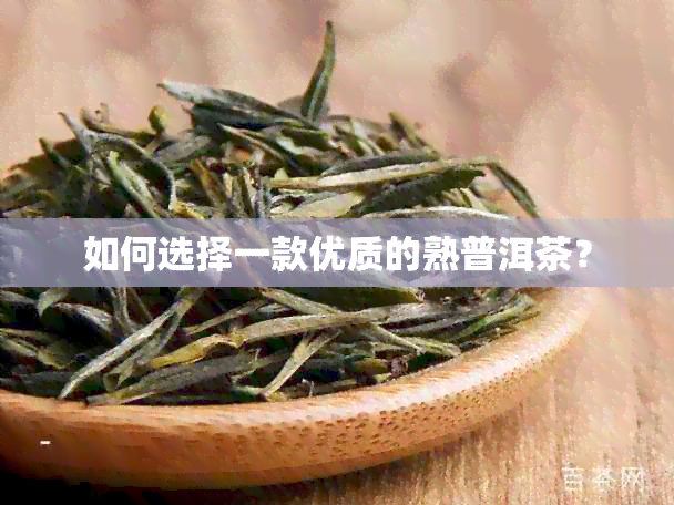 如何选择一款优质的熟普洱茶？