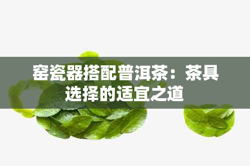 窑瓷器搭配普洱茶：茶具选择的适宜之道