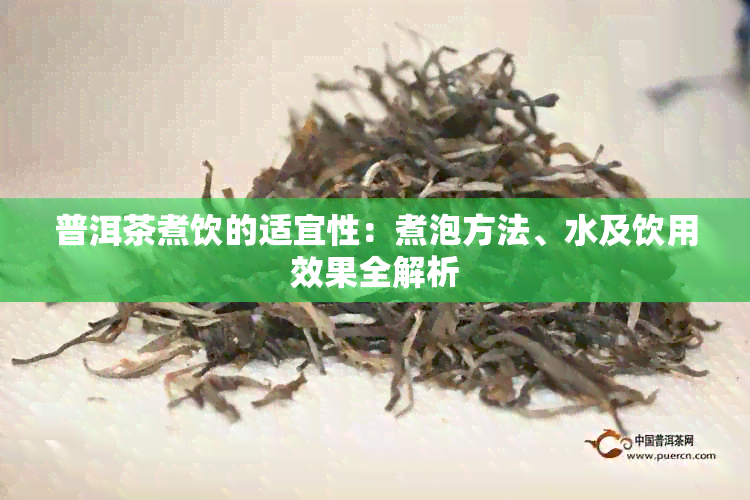 普洱茶煮饮的适宜性：煮泡方法、水及饮用效果全解析