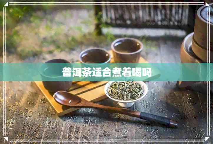 普洱茶适合煮着喝吗