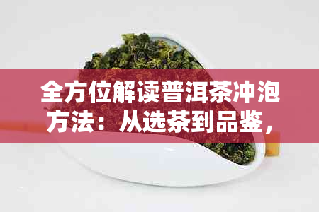 全方位解读普洱茶冲泡方法：从选茶到品鉴，一次性满足您的所有疑问