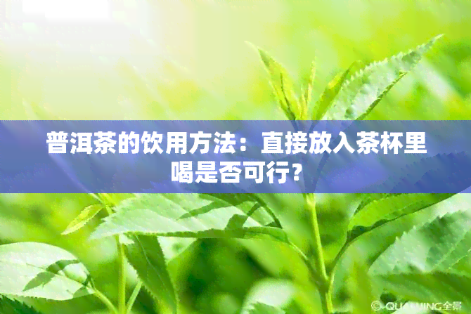 普洱茶的饮用方法：直接放入茶杯里喝是否可行？