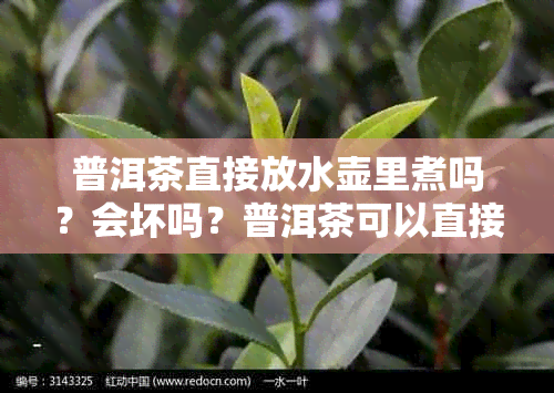 普洱茶直接放水壶里煮吗？会坏吗？普洱茶可以直接泡在杯子里吗？