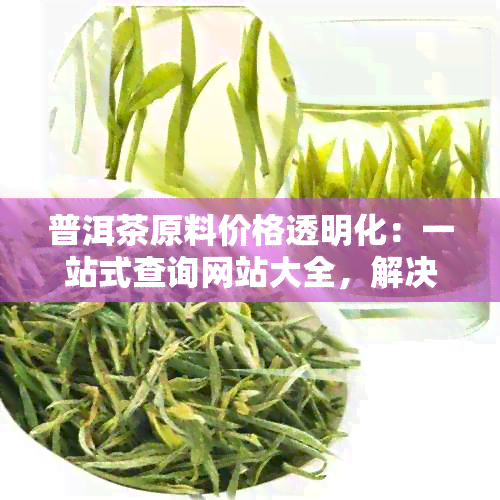 普洱茶原料价格透明化：一站式查询网站大全，解决您的所有疑问