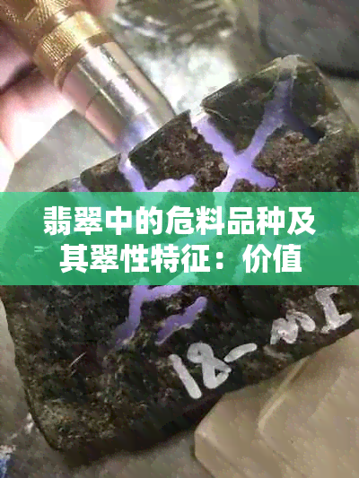 翡翠中的危料品种及其翠性特征：价值与否的深度解析