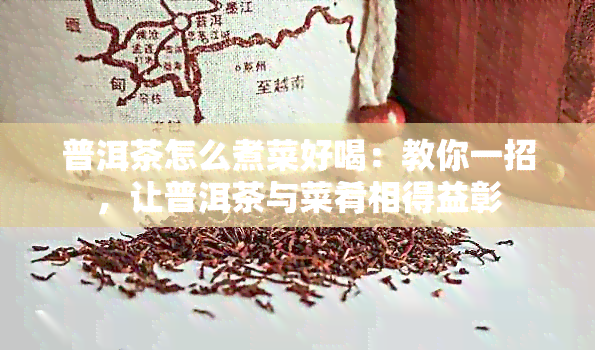 普洱茶怎么煮菜好喝：教你一招，让普洱茶与菜肴相得益彰