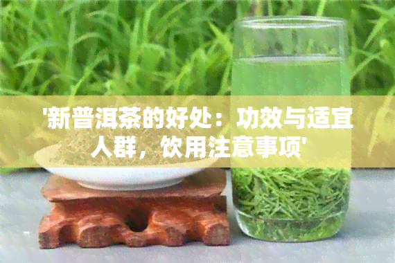 '新普洱茶的好处：功效与适宜人群，饮用注意事项'