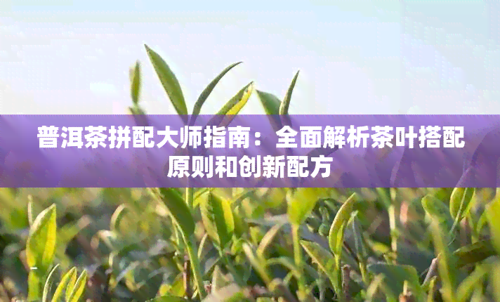 普洱茶拼配大师指南：全面解析茶叶搭配原则和创新配方