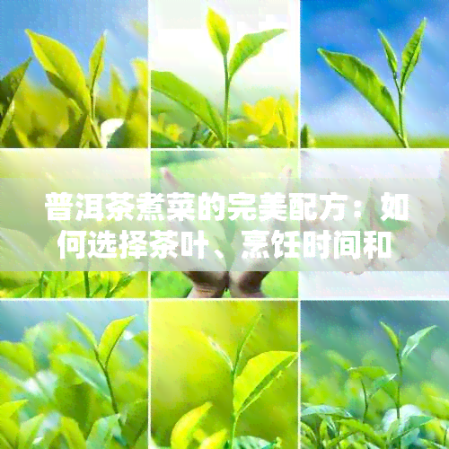 普洱茶煮菜的完美配方：如何选择茶叶、烹饪时间和技巧，让菜肴更美味