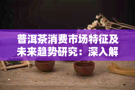 普洱茶消费市场特征及未来趋势研究：深入解析带货人群行为洞察报告