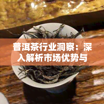 普洱茶行业洞察：深入解析市场优势与挑战