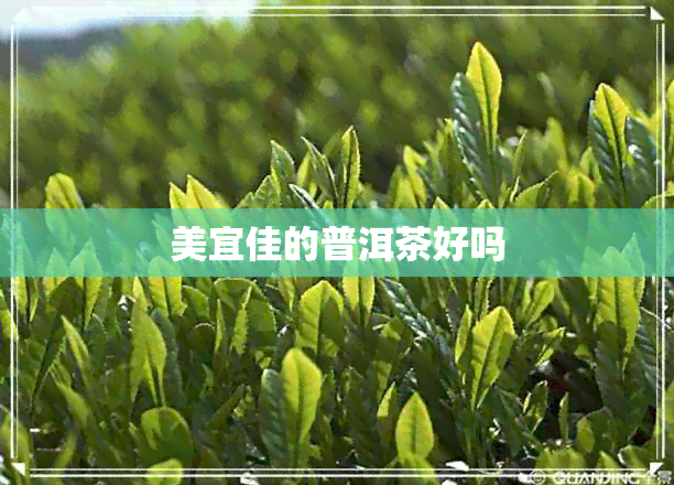 美宜佳的普洱茶好吗