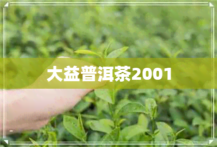 大益普洱茶2001