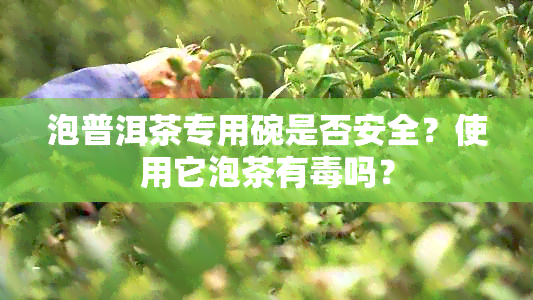 泡普洱茶专用碗是否安全？使用它泡茶有吗？