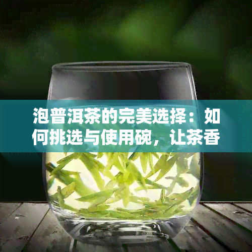 泡普洱茶的完美选择：如何挑选与使用碗，让茶香更加浓