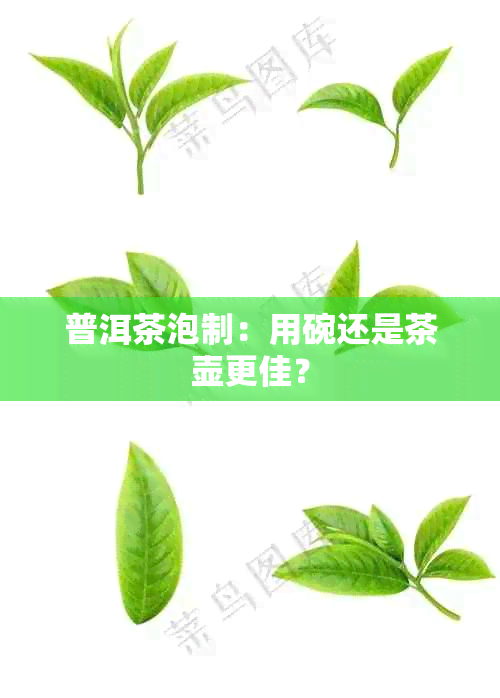 普洱茶泡制：用碗还是茶壶更佳？