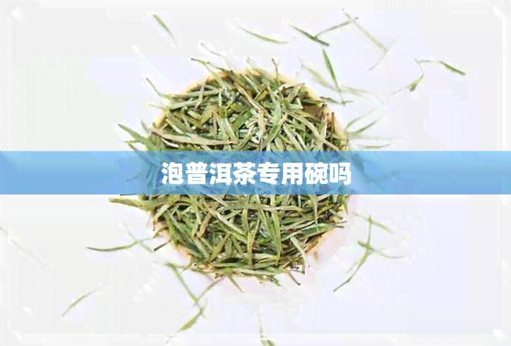 泡普洱茶专用碗吗