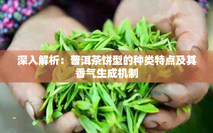 深入解析：普洱茶饼型的种类特点及其香气生成机制