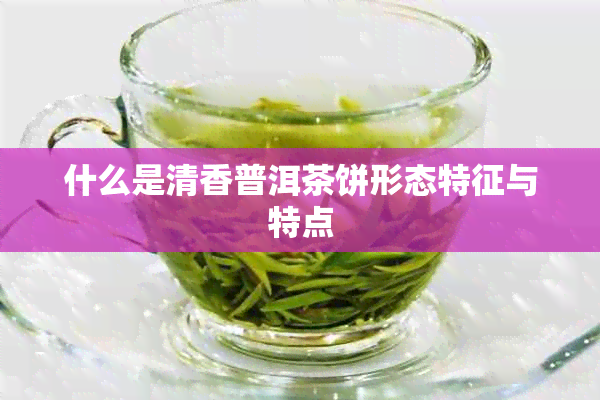 什么是清香普洱茶饼形态特征与特点