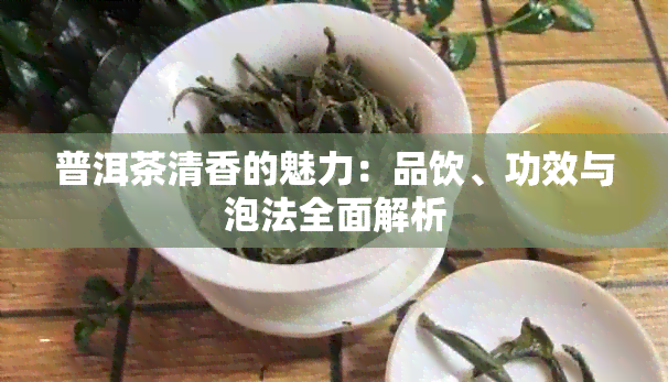 普洱茶清香的魅力：品饮、功效与泡法全面解析