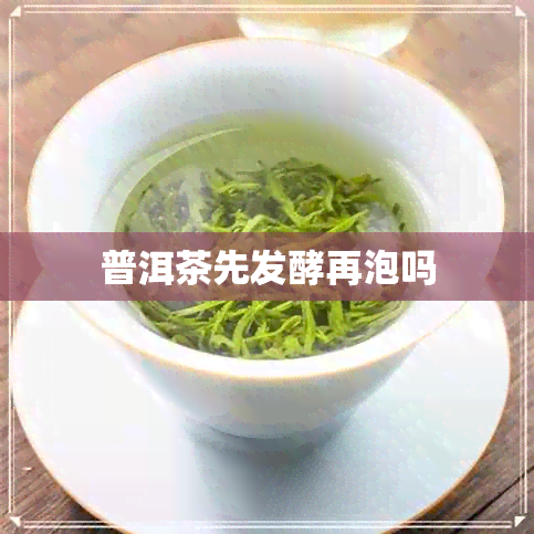 普洱茶先发酵再泡吗