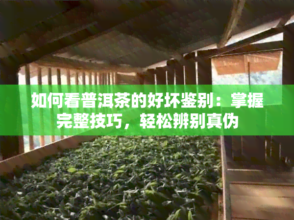 如何看普洱茶的好坏鉴别：掌握完整技巧，轻松辨别真伪