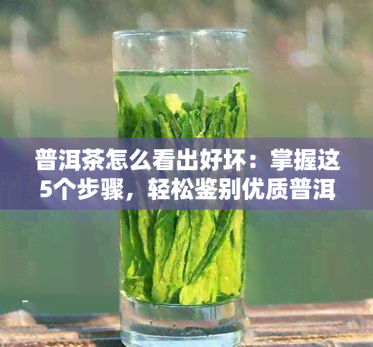 普洱茶怎么看出好坏：掌握这5个步骤，轻松鉴别优质普洱