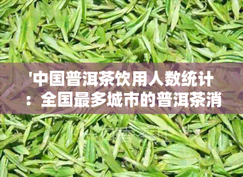 '中国普洱茶饮用人数统计：全国最多城市的普洱茶消费者数量'