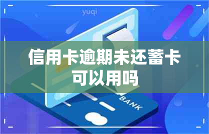 信用卡逾期未还蓄卡可以用吗