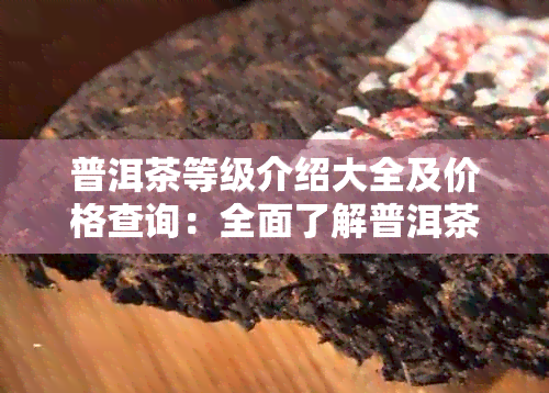 普洱茶等级介绍大全及价格查询：全面了解普洱茶的等级划分与价格信息。