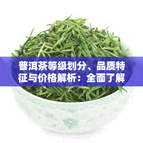 普洱茶等级划分、品质特征与价格解析：全面了解如何选购和评估普洱茶