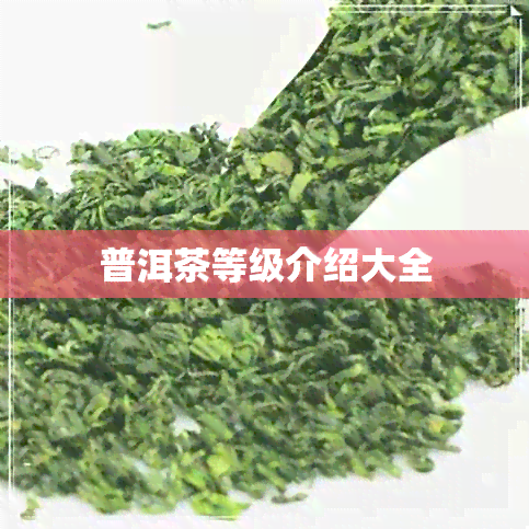 普洱茶等级介绍大全